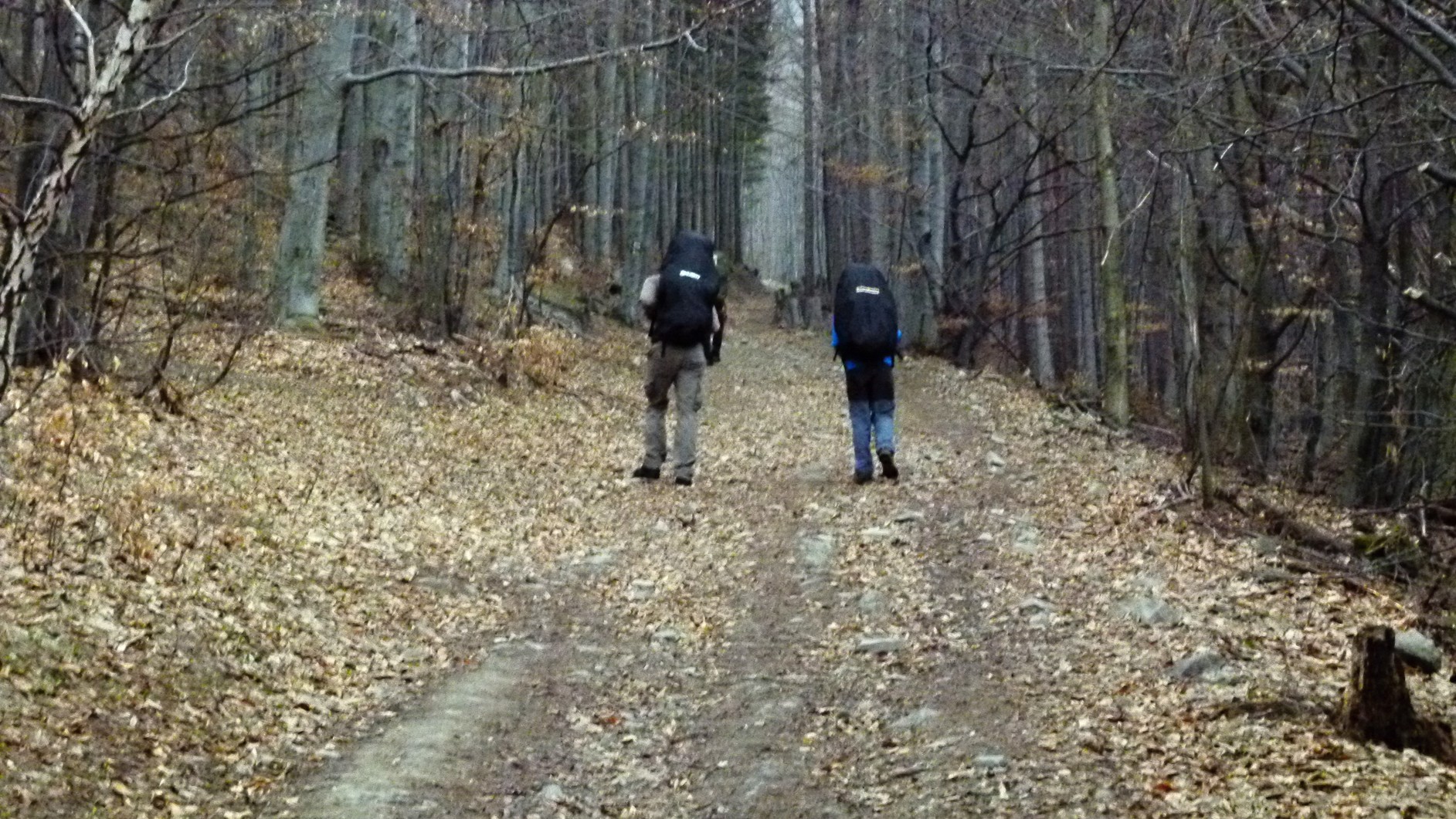 CAL 2012 vyprava do Alifbaje 4. 9.4. 03